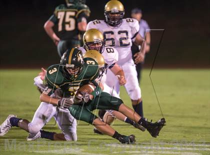 Thumbnail 2 in Northern Vance @ Ravenscroft photogallery.