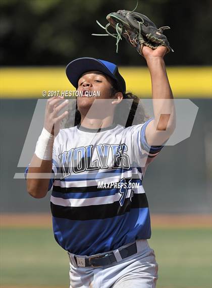 Thumbnail 3 in Boulder Creek vs. Basic (DeMarini National Classic) photogallery.
