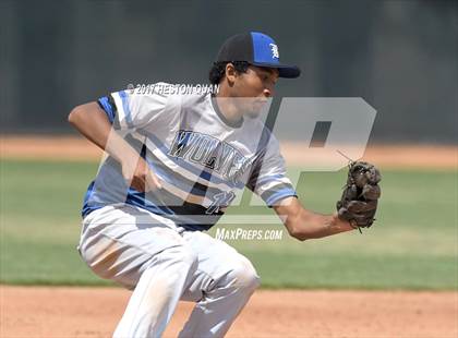 Thumbnail 2 in Boulder Creek vs. Basic (DeMarini National Classic) photogallery.