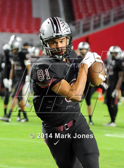 Thumbnail 2 in Hamilton vs. Chandler (AIA D1 Final) photogallery.
