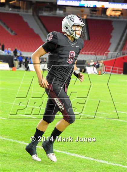 Thumbnail 3 in Hamilton vs. Chandler (AIA D1 Final) photogallery.