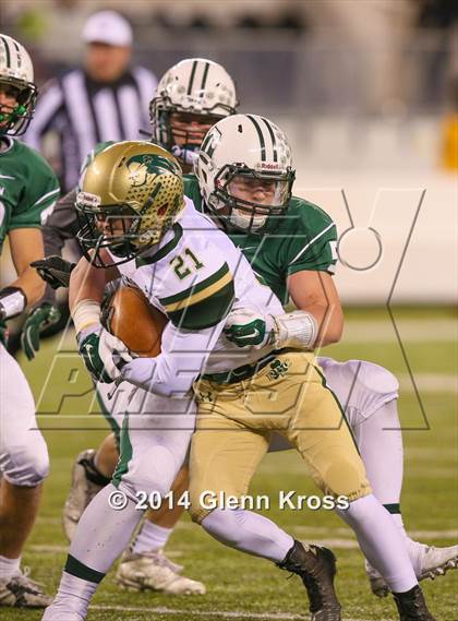 Thumbnail 3 in Red Bank Catholic vs. Delbarton (NJSIAA Non-Public Group 3 Final) photogallery.