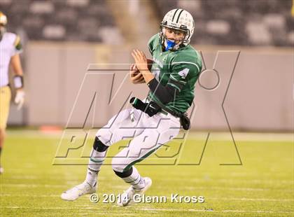 Thumbnail 2 in Red Bank Catholic vs. Delbarton (NJSIAA Non-Public Group 3 Final) photogallery.