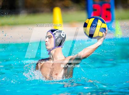 Thumbnail 1 in Kennedy @ Franklin photogallery.