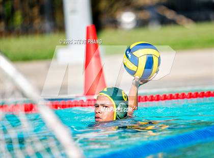 Thumbnail 1 in Kennedy @ Franklin photogallery.