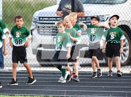 Thumbnail 3 in Goldthwaite @ Santo photogallery.