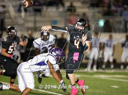 Thumbnail 1 in Everman @ Aledo photogallery.