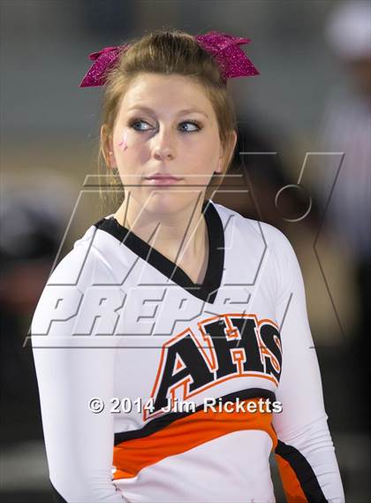 Thumbnail 1 in Everman @ Aledo photogallery.
