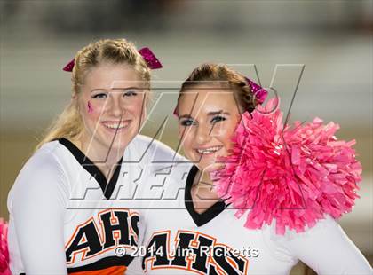 Thumbnail 1 in Everman @ Aledo photogallery.
