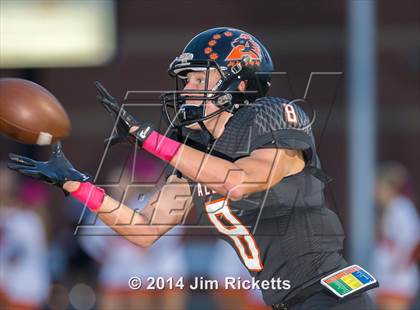Thumbnail 1 in Everman @ Aledo photogallery.