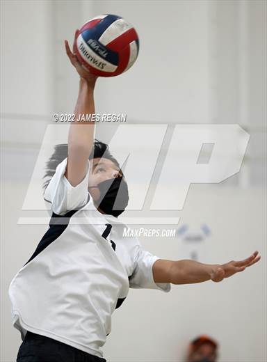 null - Photo 01