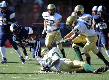 Thumbnail 1 in New Dorp @ Midwood photogallery.