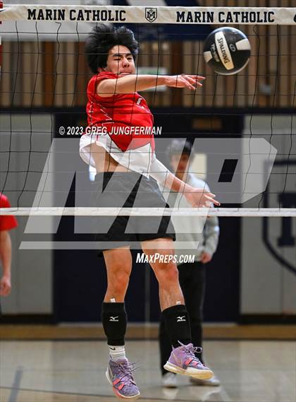 Thumbnail 3 in Redwood @ Marin Catholic photogallery.