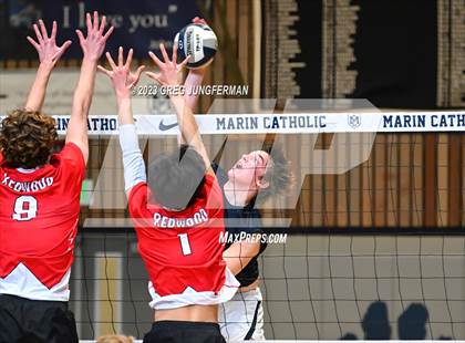 Thumbnail 3 in Redwood @ Marin Catholic photogallery.