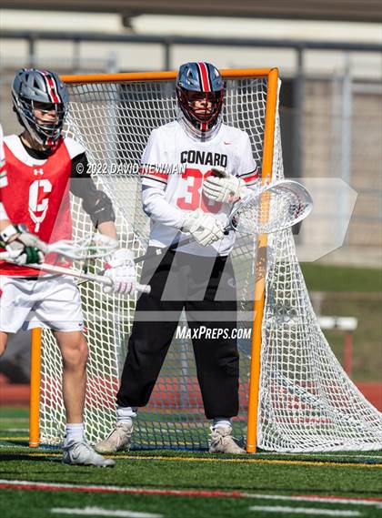 Thumbnail 1 in Trumbull @ Conard photogallery.