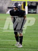 Photo from the gallery "Cactus @ Higley (AIA 5A Final)"