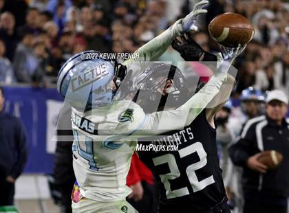 Thumbnail 2 in Cactus @ Higley (AIA 5A Final) photogallery.