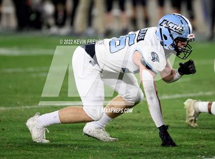 Thumbnail 3 in Cactus @ Higley (AIA 5A Final) photogallery.