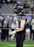 Photo from the gallery "Cactus @ Higley (AIA 5A Final)"
