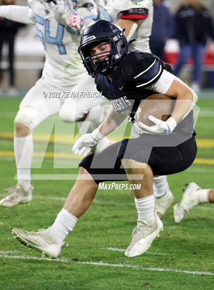 Thumbnail 2 in Cactus @ Higley (AIA 5A Final) photogallery.