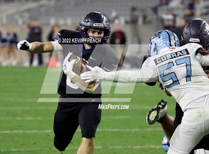 Thumbnail 1 in Cactus @ Higley (AIA 5A Final) photogallery.