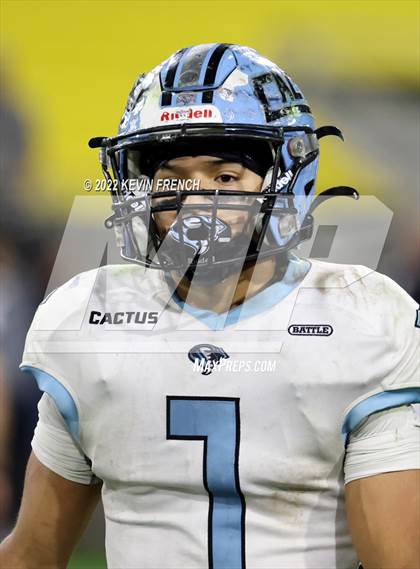 Thumbnail 1 in Cactus @ Higley (AIA 5A Final) photogallery.