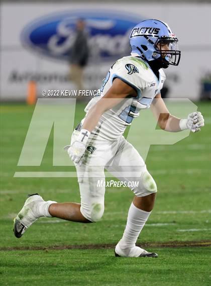Thumbnail 2 in Cactus @ Higley (AIA 5A Final) photogallery.