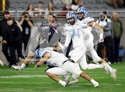 Thumbnail 2 in Cactus @ Higley (AIA 5A Final) photogallery.