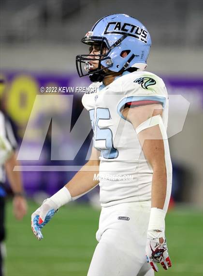Thumbnail 2 in Cactus @ Higley (AIA 5A Final) photogallery.