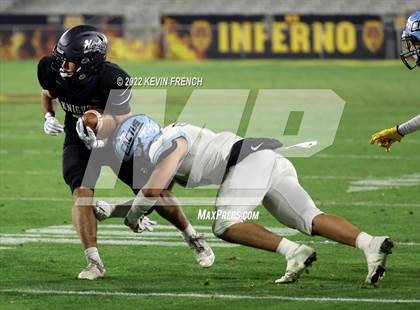 Thumbnail 1 in Cactus @ Higley (AIA 5A Final) photogallery.