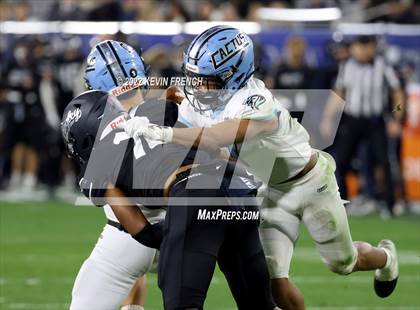 Thumbnail 3 in Cactus @ Higley (AIA 5A Final) photogallery.