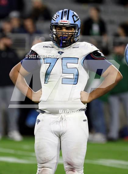 Thumbnail 1 in Cactus @ Higley (AIA 5A Final) photogallery.