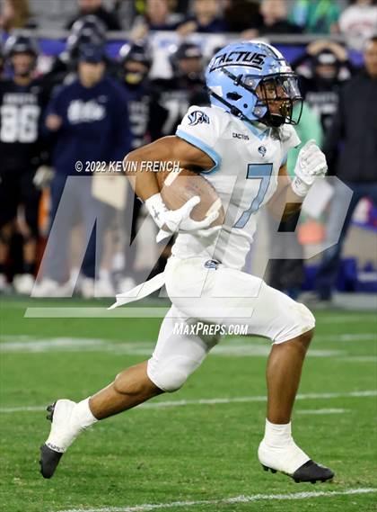 Thumbnail 3 in Cactus @ Higley (AIA 5A Final) photogallery.