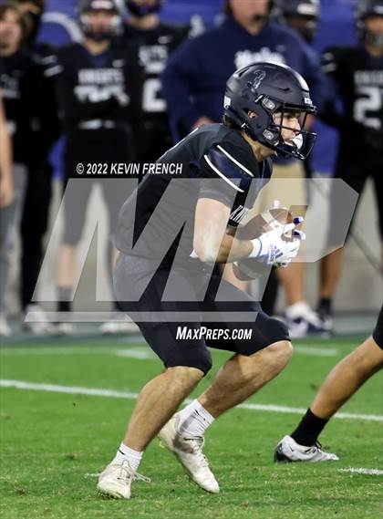 Thumbnail 1 in Cactus @ Higley (AIA 5A Final) photogallery.