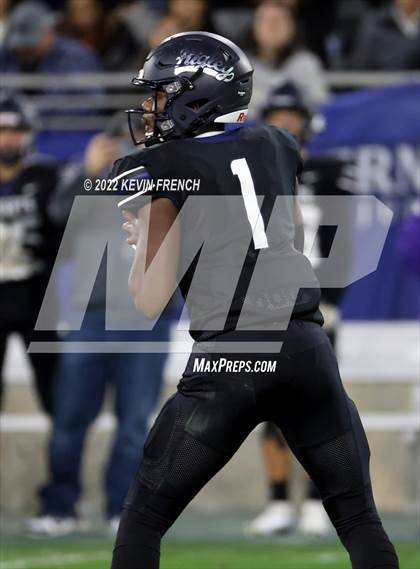 Thumbnail 2 in Cactus @ Higley (AIA 5A Final) photogallery.