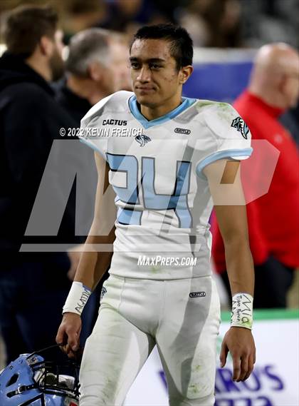 Thumbnail 3 in Cactus @ Higley (AIA 5A Final) photogallery.