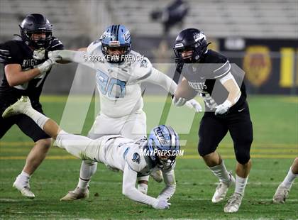 Thumbnail 2 in Cactus @ Higley (AIA 5A Final) photogallery.