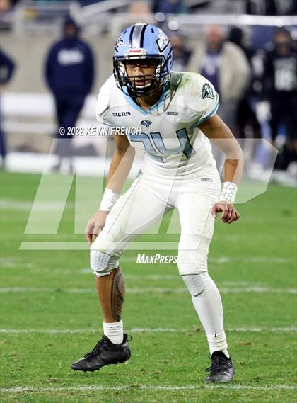 Thumbnail 1 in Cactus @ Higley (AIA 5A Final) photogallery.