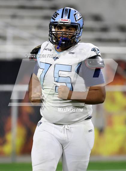 Thumbnail 2 in Cactus @ Higley (AIA 5A Final) photogallery.