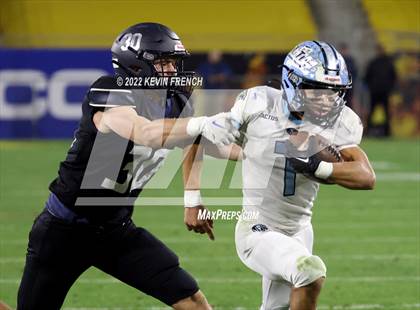 Thumbnail 2 in Cactus @ Higley (AIA 5A Final) photogallery.