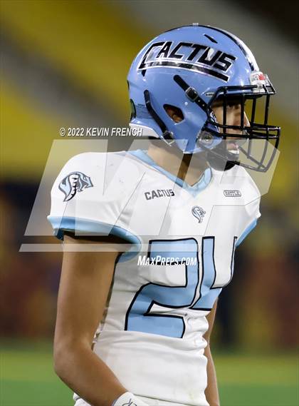 Thumbnail 1 in Cactus @ Higley (AIA 5A Final) photogallery.