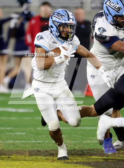 Thumbnail 2 in Cactus @ Higley (AIA 5A Final) photogallery.