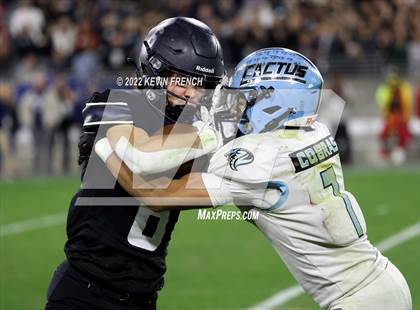 Thumbnail 3 in Cactus @ Higley (AIA 5A Final) photogallery.