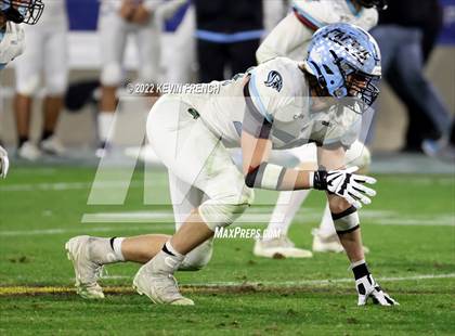 Thumbnail 2 in Cactus @ Higley (AIA 5A Final) photogallery.