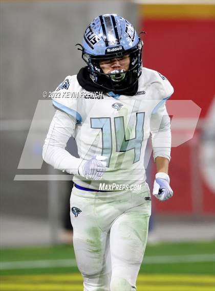 Thumbnail 1 in Cactus @ Higley (AIA 5A Final) photogallery.