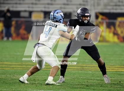 Thumbnail 3 in Cactus @ Higley (AIA 5A Final) photogallery.