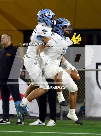 Thumbnail 3 in Cactus @ Higley (AIA 5A Final) photogallery.