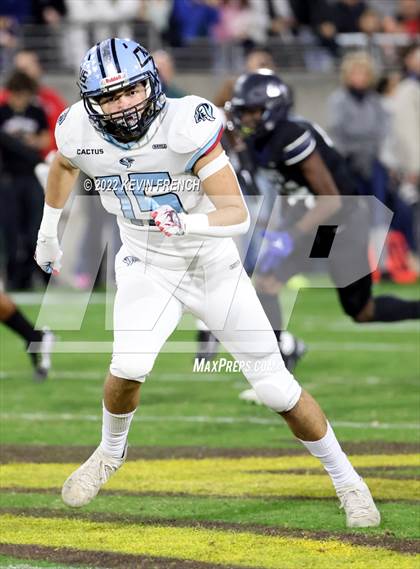 Thumbnail 2 in Cactus @ Higley (AIA 5A Final) photogallery.