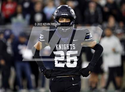 Thumbnail 1 in Cactus @ Higley (AIA 5A Final) photogallery.