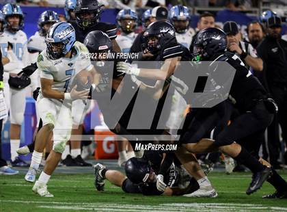 Thumbnail 2 in Cactus @ Higley (AIA 5A Final) photogallery.